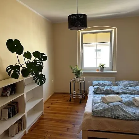 Apartment Jelenizen